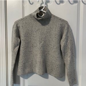 Everlane Speckled 100% Cashmere Sweater